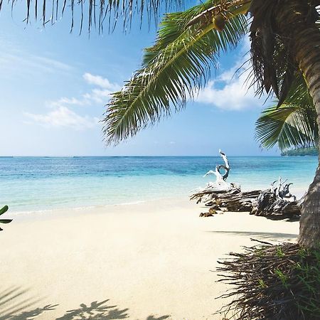 New Emerald Cove Hotel Бає-Санта-Анна Екстер'єр фото